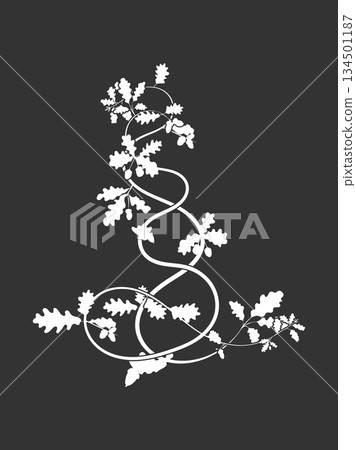 On a black background weaving oak tree branches 134501187