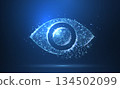 Eye. Polygonal wireframe mesh icon with crumbled edge looks like constellation. Concept illustration or background 134502099