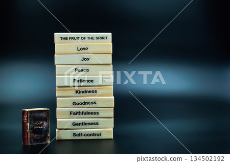 The Fruit of The Spirit Holy Bible Left Side The Fruit of The Spirit Holy Bible Left Side 134502192