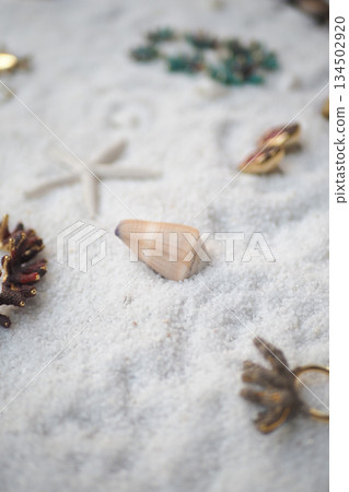 Beach with shells, jewelry, and marine items 134502920