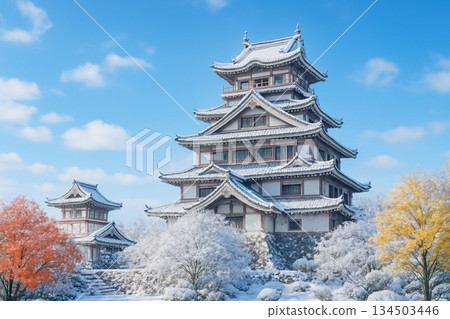 伏見桃山城雪景 134503446