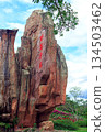 A tall rock face with vertical Chinese character carvings in Nanshan Tropical Park. 134503462