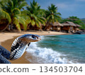 Exotic Blue Cobra Head with Palm Trees and Ocean Background 134503704
