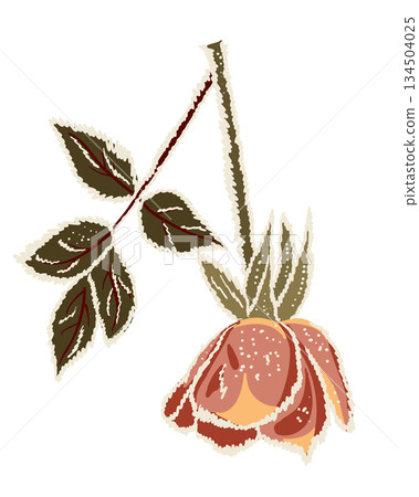 Hand drawn vector illustration of a frozen red rose flower with frosty texture and icy edges isolated on white background. The image represents winter romance, frozen beauty, fragility Hand drawn vector illustration of a frozen red rose flower with frosty texture and icy edges isolated on white background. The image represents winter romance, frozen beauty, fragility 134504025