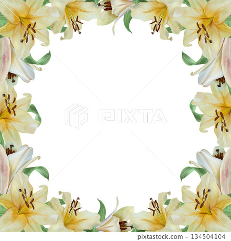 White lilies frame. Hand drawn watercolor illustration of pastel flowers isolated. Wedding invitations and birthday cards. Suitable for Valentines Day, Annunciation, Easter, Epiphany and funerals. 134504104