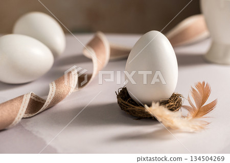 Easter holiday. White egg in a nest with a feather, bright minimalistic background 134504269
