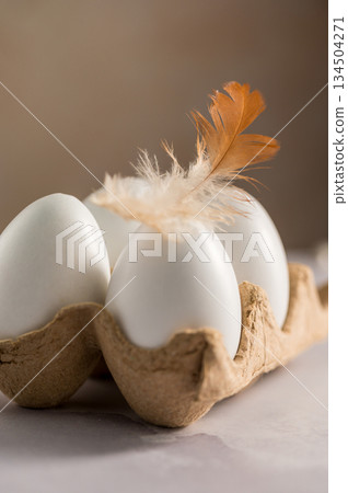 Easter, spring background. White chicken eggs with a feather in a egg carton box 134504271