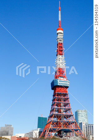 藍天 | 城市景觀與東京塔 | 垂直 藍天 | 城市景觀與東京塔 | 垂直 134504319