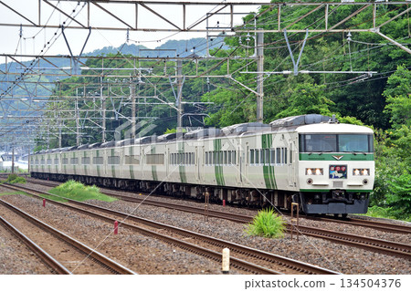 東海道本線、二宮甲津、JR東日本、185系、A5編組（大宮）、大通子 134504376
