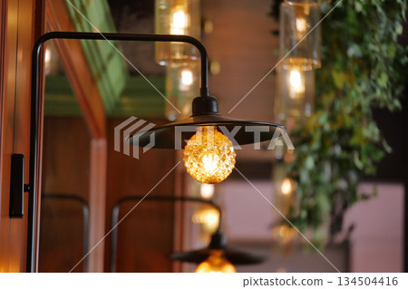 Lighting fixture hangs in a room with plants and bulbs Lighting fixture hangs in a room with plants and bulbs 134504416