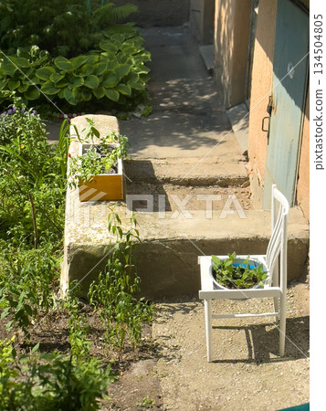 Serene garden scene, Tranquil garden area illuminated by warm afternoon sunlight 134504805