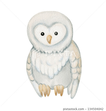 Watercolor cute owl character for winter and New Year, Christmas design. Perfect for nursery decor, kids card, holiday illustration, baby shower and cozy seasonal theme. 134504842