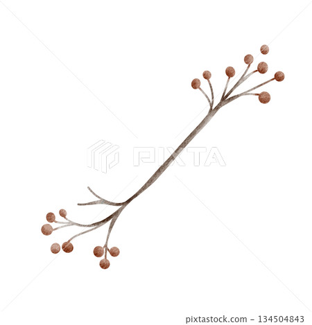 Watercolor winter berry branch for Christmas and winter designs. Suitable for cards, holiday decoration, seasonal greeting, botanical theme and cozy nursery illustration. 134504843