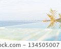 This tranquil setting showcases a stunning seaview, perfectly designed for a spa experience. Blurred foreground. The perfect setting for your product. 134505007