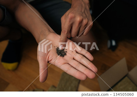 High-angle view of gardener touching small hydroponic seeds in n open hand, preparing for planting in rockwool to establish thriving vertical hydroponic tower garden for sustainable urban farming. High-angle view of gardener touching small hydroponic seeds in n open hand, preparing for planting in rockwool to establish thriving vertical hydroponic tower garden for sustainable urban farming. 134505060