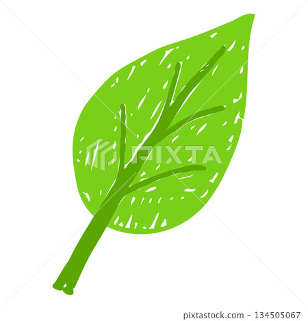 A bright green leaf icon, a child's drawing with chalk or pencil. 134505067