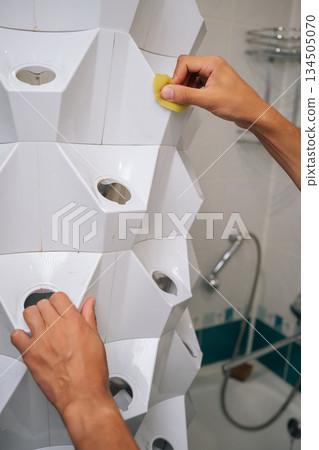 Close-up vertical shot of gardener cleaning vertical hydroponic tower garden with yellow sponge in modern bathroom, ensuring cleanliness and optimal growing conditions. Concept of home gardening. Close-up vertical shot of gardener cleaning vertical hydroponic tower garden with yellow sponge in modern bathroom, ensuring cleanliness and optimal growing conditions. Concept of home gardening. 134505070