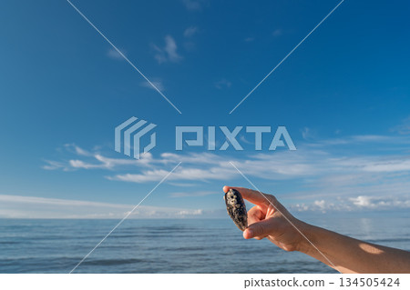 A poster of a woman's hand holding an oil-stained oyster shell against the backdrop of the ocean and blue sky, a copy space about ocean pollution and environmental protection A poster of a woman's hand holding an oil-stained oyster shell against the backdrop of the ocean and blue sky, a copy space about ocean pollution and environmental protection 134505424