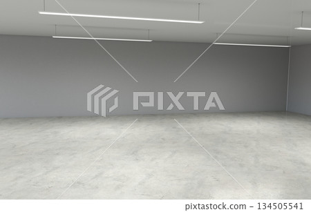 empty pavilion, interior visualization, 3D illustration 134505541