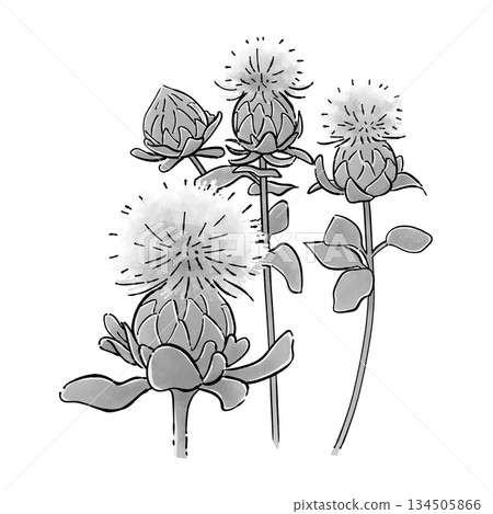 紅花單色 134505866