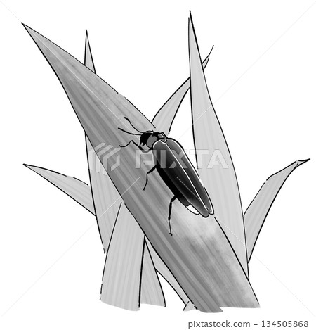 Firefly_Monochrome Firefly_Monochrome 134505868