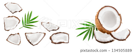 piece of coconut with leaves isolated on white background with copy space for your text. Top view. Flat lay piece of coconut with leaves isolated on white background with copy space for your text. Top view. Flat lay 134505889