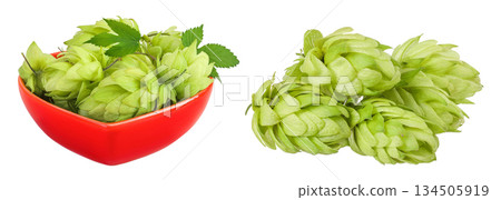 Hop cones in ceramic bowl isolated on white background. Beer brewing ingredients Hop cones in ceramic bowl isolated on white background. Beer brewing ingredients 134505919