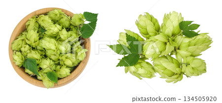 Hop cones in wooden bowl isolated on white background. Beer brewing ingredients. Top view. Flat lay 134505920