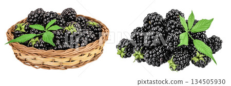 blackberry with leaf in in a wicker basket isolated on a white background closeup. 134505930