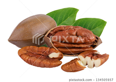 broken pecan nut isolated on white background with full depth of field broken pecan nut isolated on white background with full depth of field 134505937