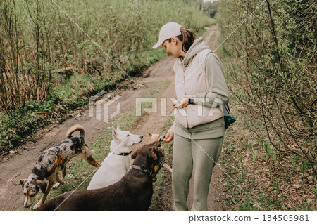 Professional dog walker. woman trains feeds dogs in forest. Dogs of different breeds. Professional dog walker. woman trains feeds dogs in forest. Dogs of different breeds. 134505981