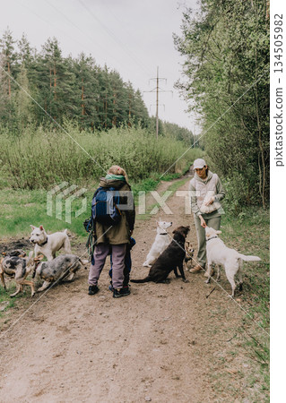 Professional dog walker. Two women are walking their dogs in forest. Professional dog walker. Two women are walking their dogs in forest. 134505982