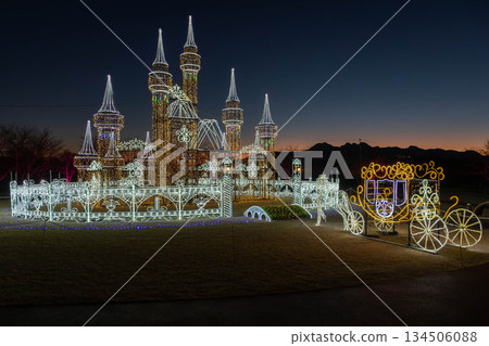 群馬縣澀川市赤城健康公園的冬夜燈光秀 134506088