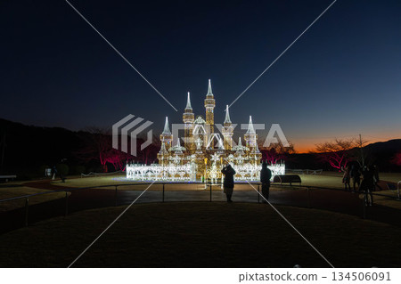 群馬縣澀川市赤城健康公園的冬夜燈光秀 134506091