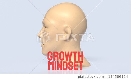 Human Mind Growth Mindset Concept 3d render. 134506124