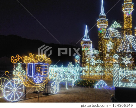 群馬縣澀川市赤城健康公園的冬夜燈光秀 群馬縣澀川市赤城健康公園的冬夜燈光秀 134506149