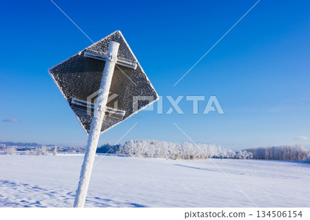 Blue sky and snowy field 134506154
