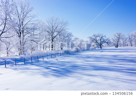 Blue sky and snowy field 134506156