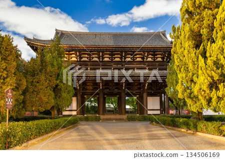 Late autumn at Tofukuji Temple, illuminated Sanmon Gate, Kyoto City, Kyoto Prefecture 134506169