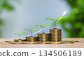 金幣和嫩葉象徵著財富的累積和投資的成長。 134506189