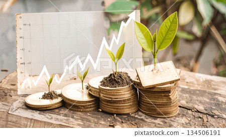 金幣和嫩葉象徵著財富的累積和投資的成長。 134506191