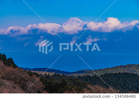 【靜岡縣】從白雪皚皚的伊豆達摩山高原眺望富士山 134506480