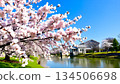 日本櫻花美景 134506698
