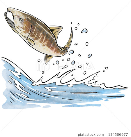 上山脊 上山脊 134506977