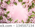 Background behind the cherry blossom petals dancing 134507134