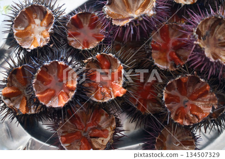 fresh sea urchin as sea food cut and ready to eat fresh sea urchin as sea food cut and ready to eat 134507329