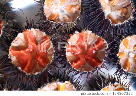 fresh sea urchin as sea food cut and ready to eat 134507333