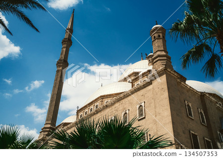 Palm Trees Around The Historical Mosque Palm Trees Around The Historical Mosque 134507353