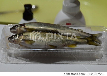 新鮮漂亮的香魚 新鮮漂亮的香魚 134507549