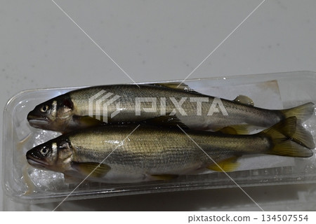 新鮮漂亮的香魚 134507554